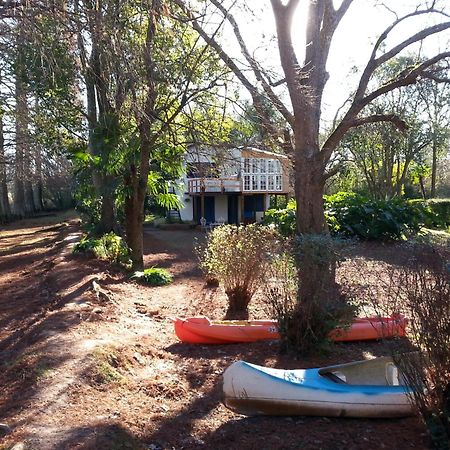 Casa Del Bosque Villa Tigre Kültér fotó