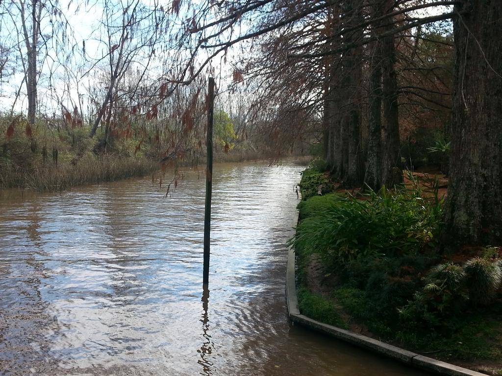Casa Del Bosque Villa Tigre Kültér fotó